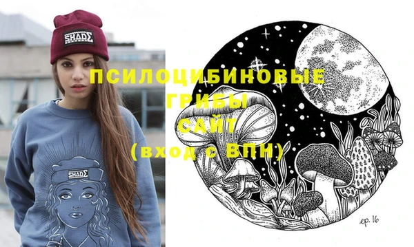 крисы Володарск