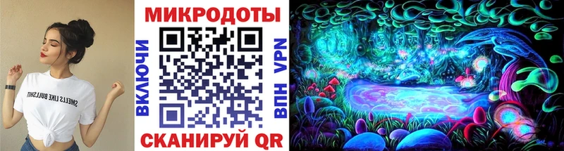 Псилоцибиновые грибы Cubensis Белёв